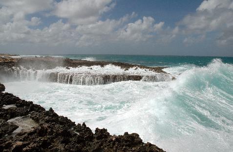 Magnificent Waves